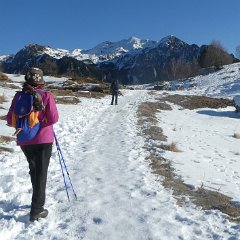 P1170327  Il catino del Carega. In alto a dx, un camoscio leggermante allarmato.